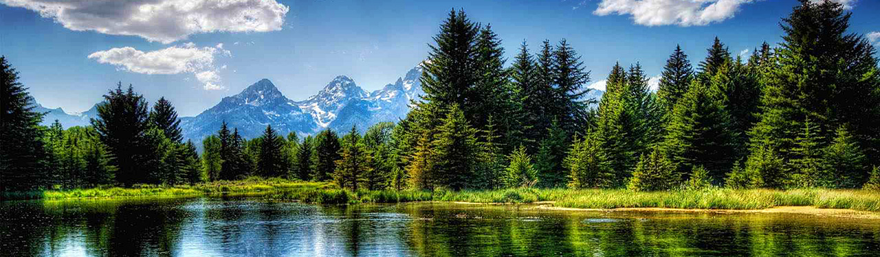 Du betrachtest gerade Referenz 1