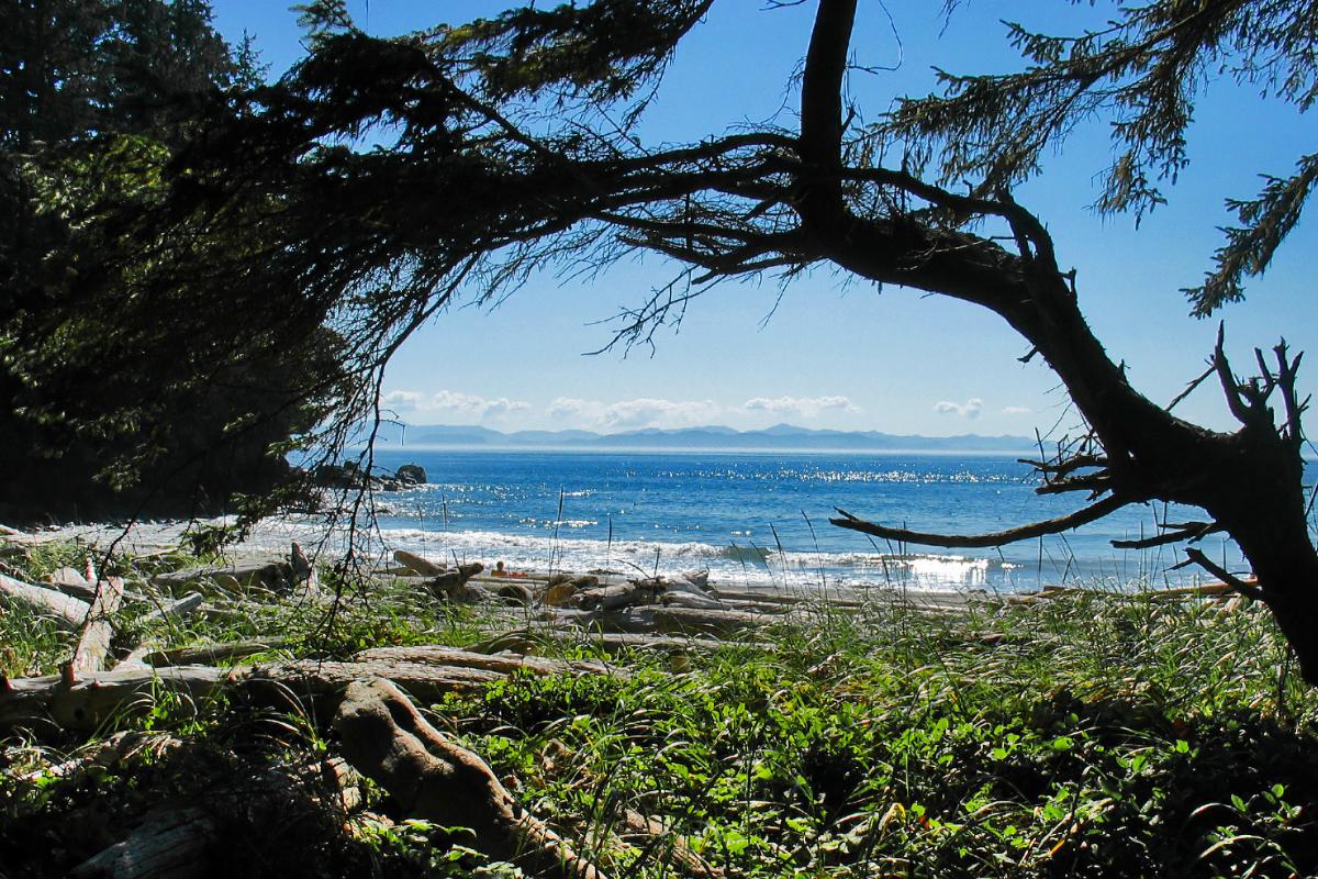 driftwood_sooke_beach_21377_o